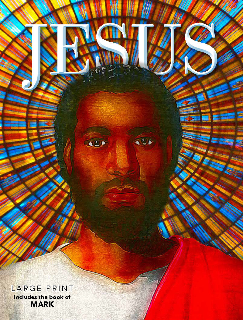 Jesus - book Big Box of 12