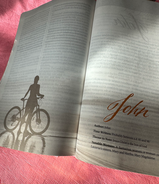 Women of Color Study Bible - Paperback Edition INDEXED