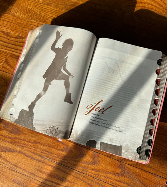 $30 Thursday OFFER - Women of Color Study Bible - PINK Luxleather