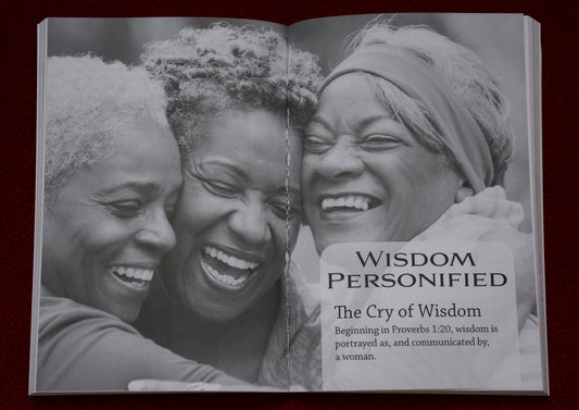 Women of the Bible for Women of Color - Paperback