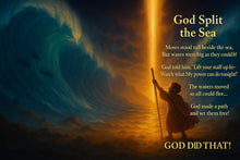 God Did That! — Storybook Bible for Beautiful Little Hearts