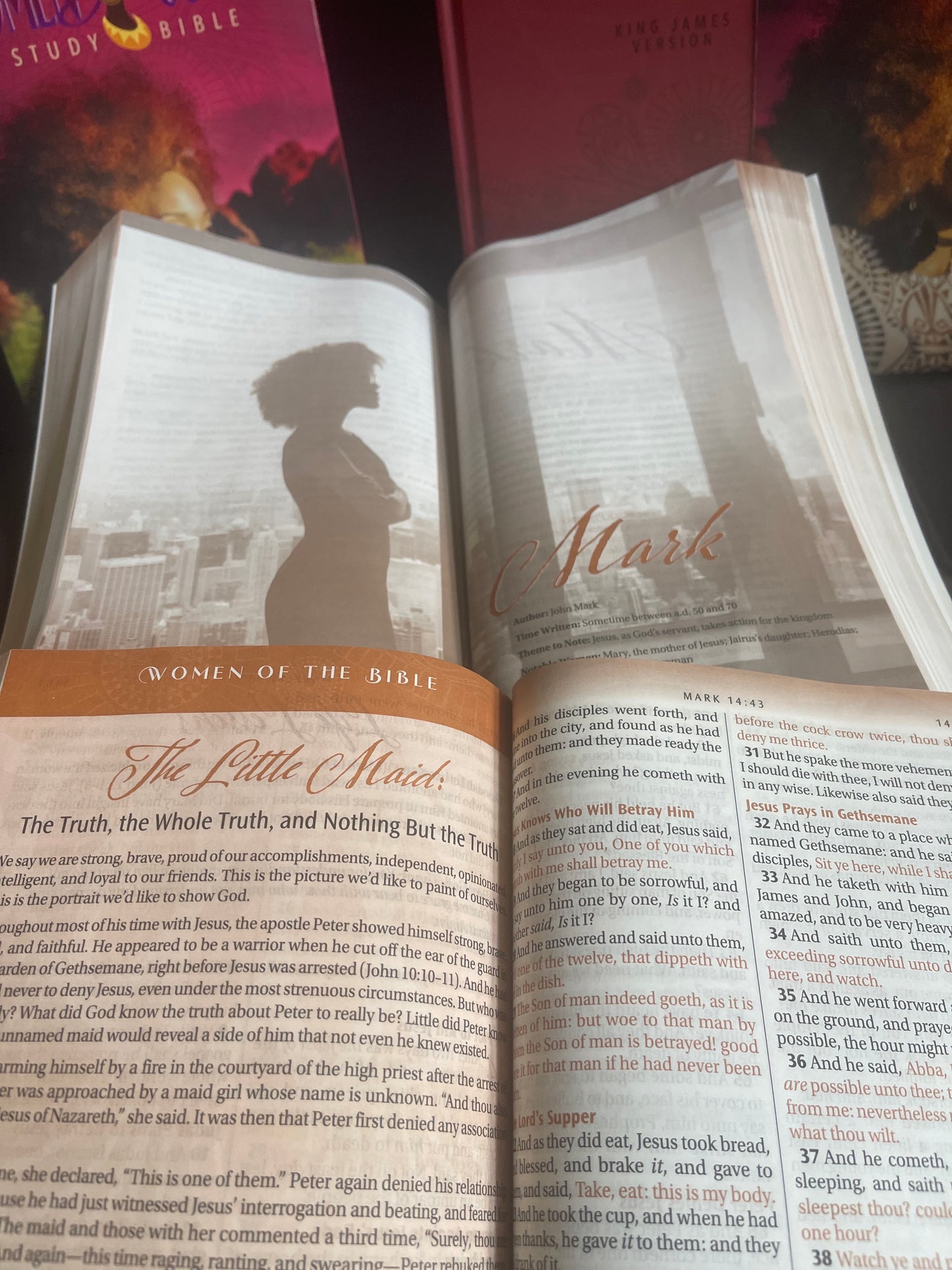 Women of Color Study Bible - Purple - Luxleather Softouch- INDEXED
