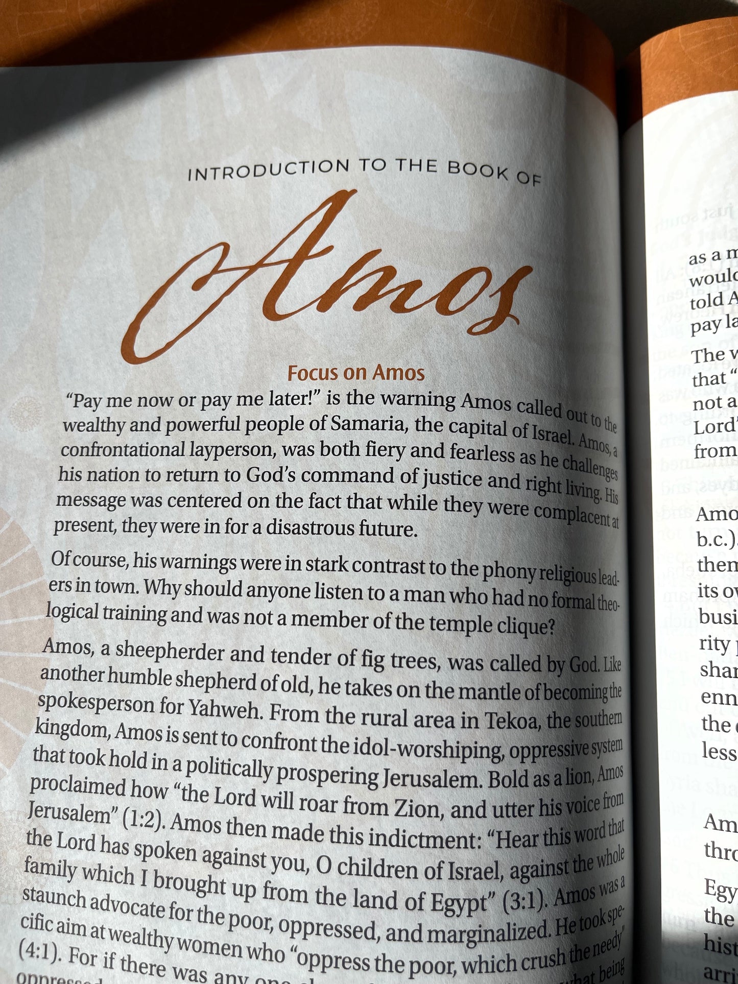 Women of Color Study Bible - Purple - Luxleather Softouch- INDEXED