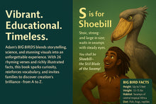 Adam's BIG Birds from A to Z