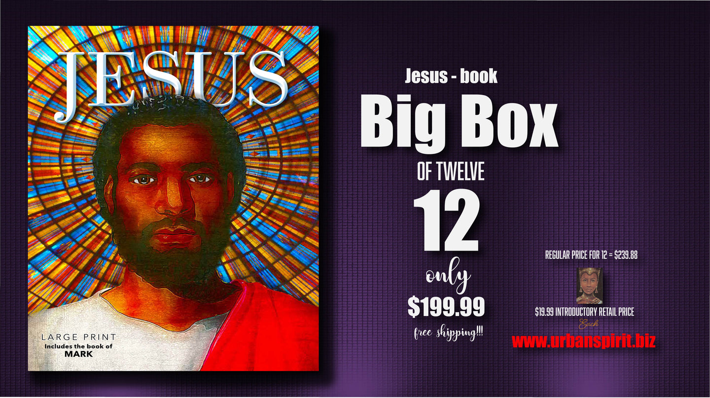 Jesus - book Big Box of 12