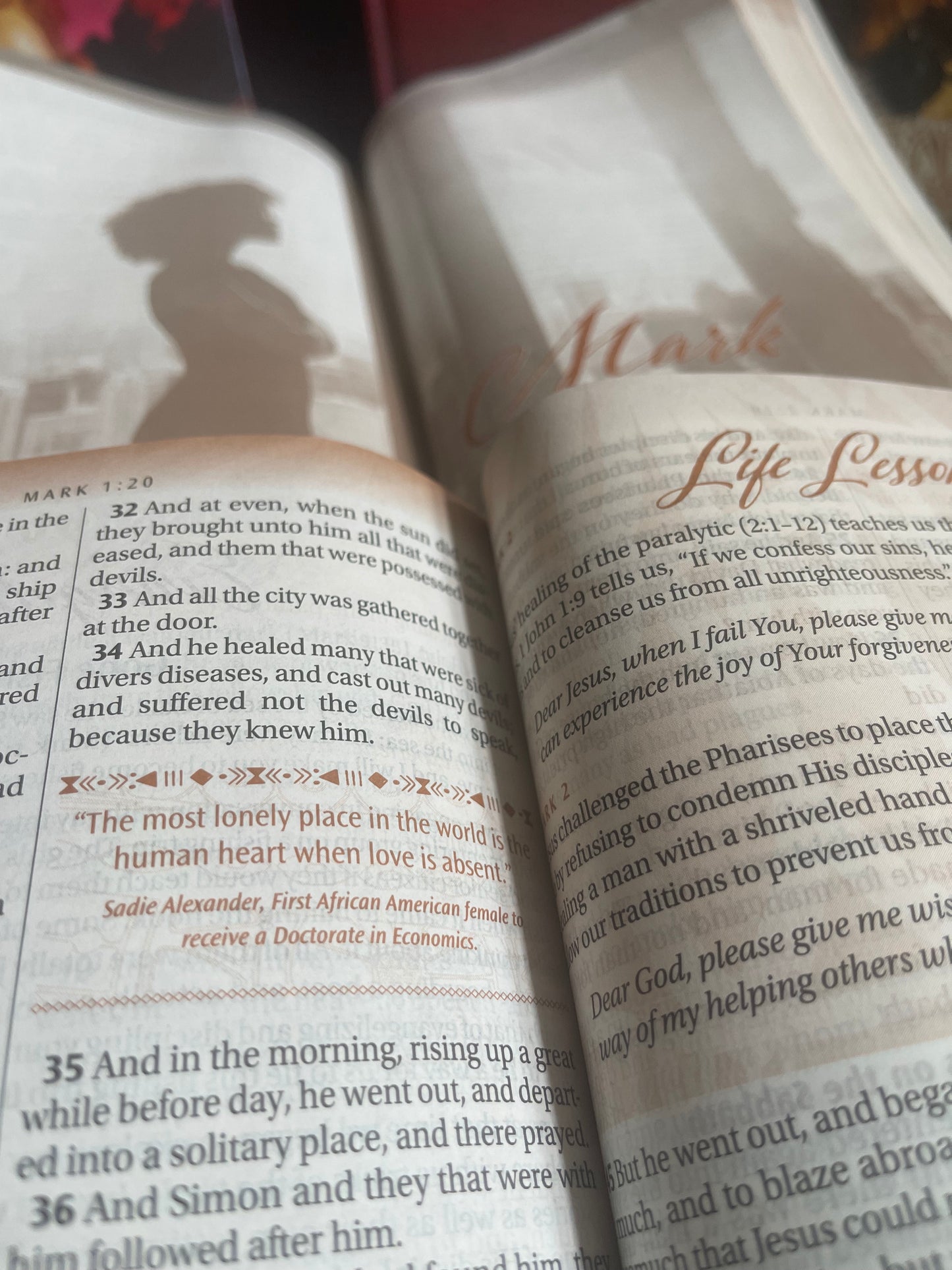 Women of Color Study Bible - Paperback Edition