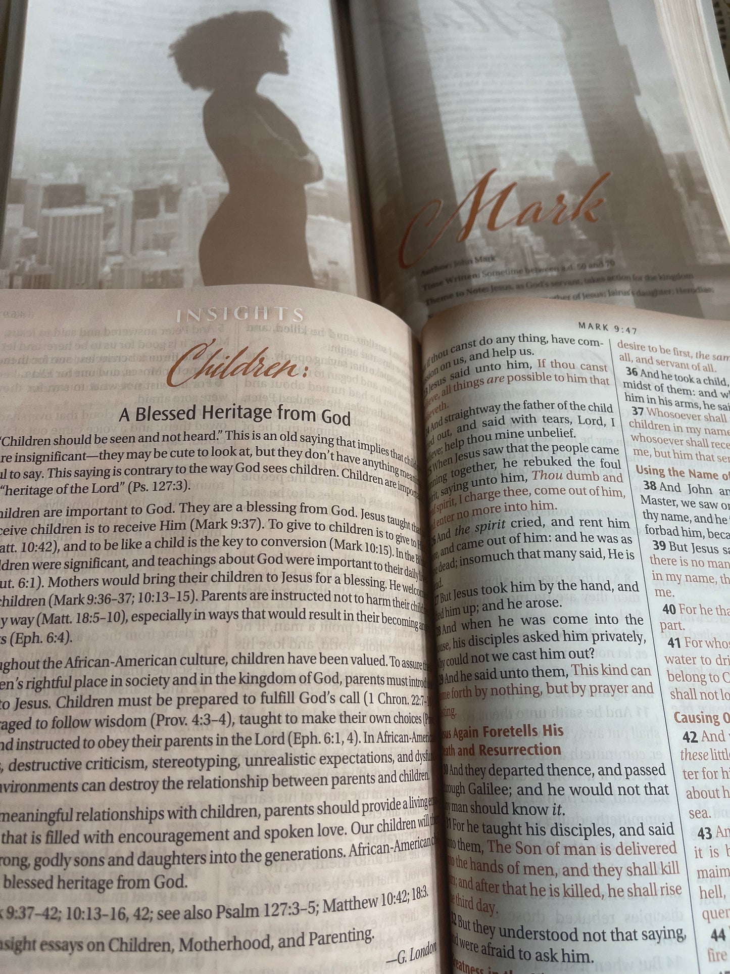 Women of Color Study Bible - Paperback Edition