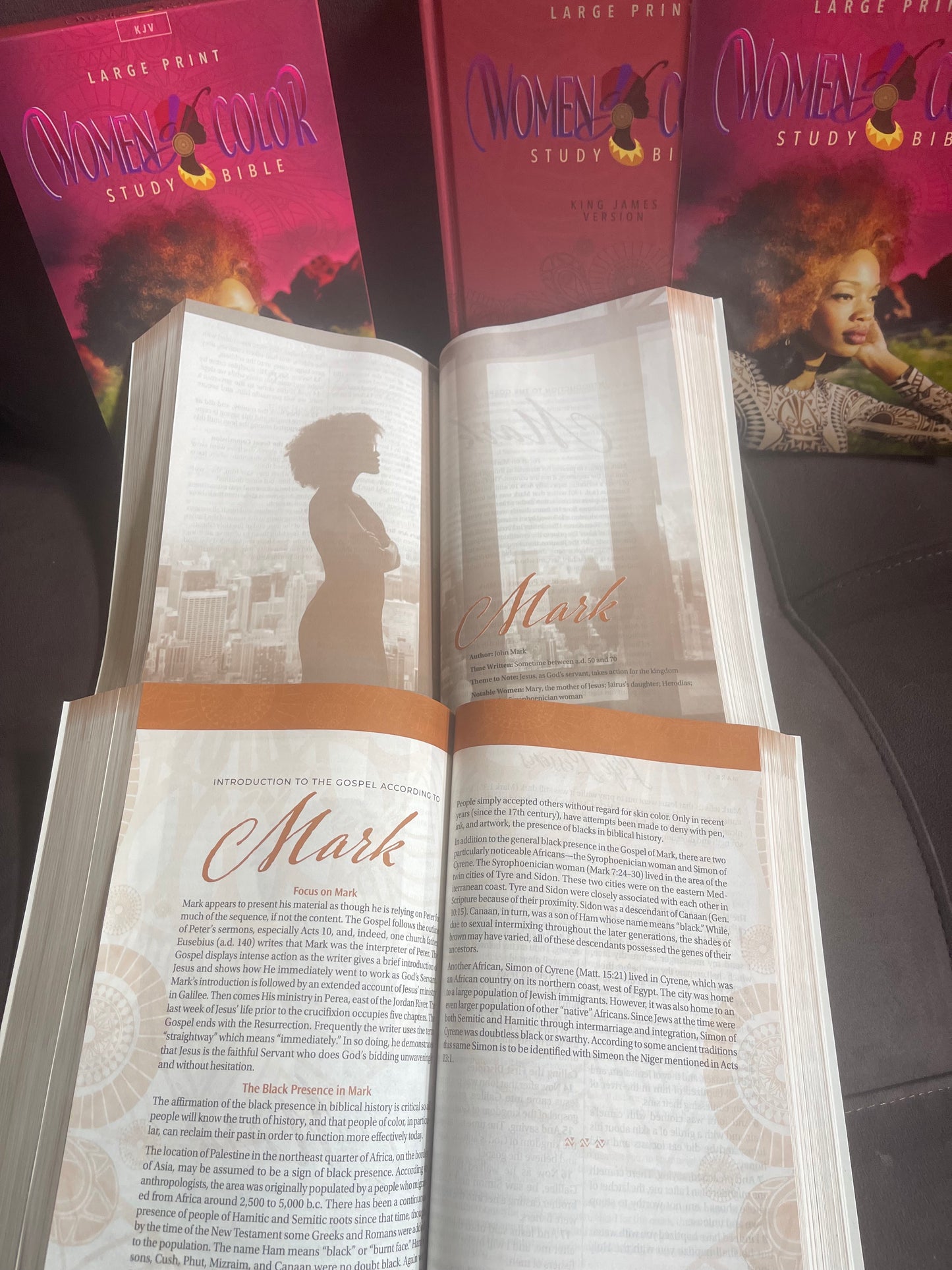 Women of Color Study Bible - Paperback Edition