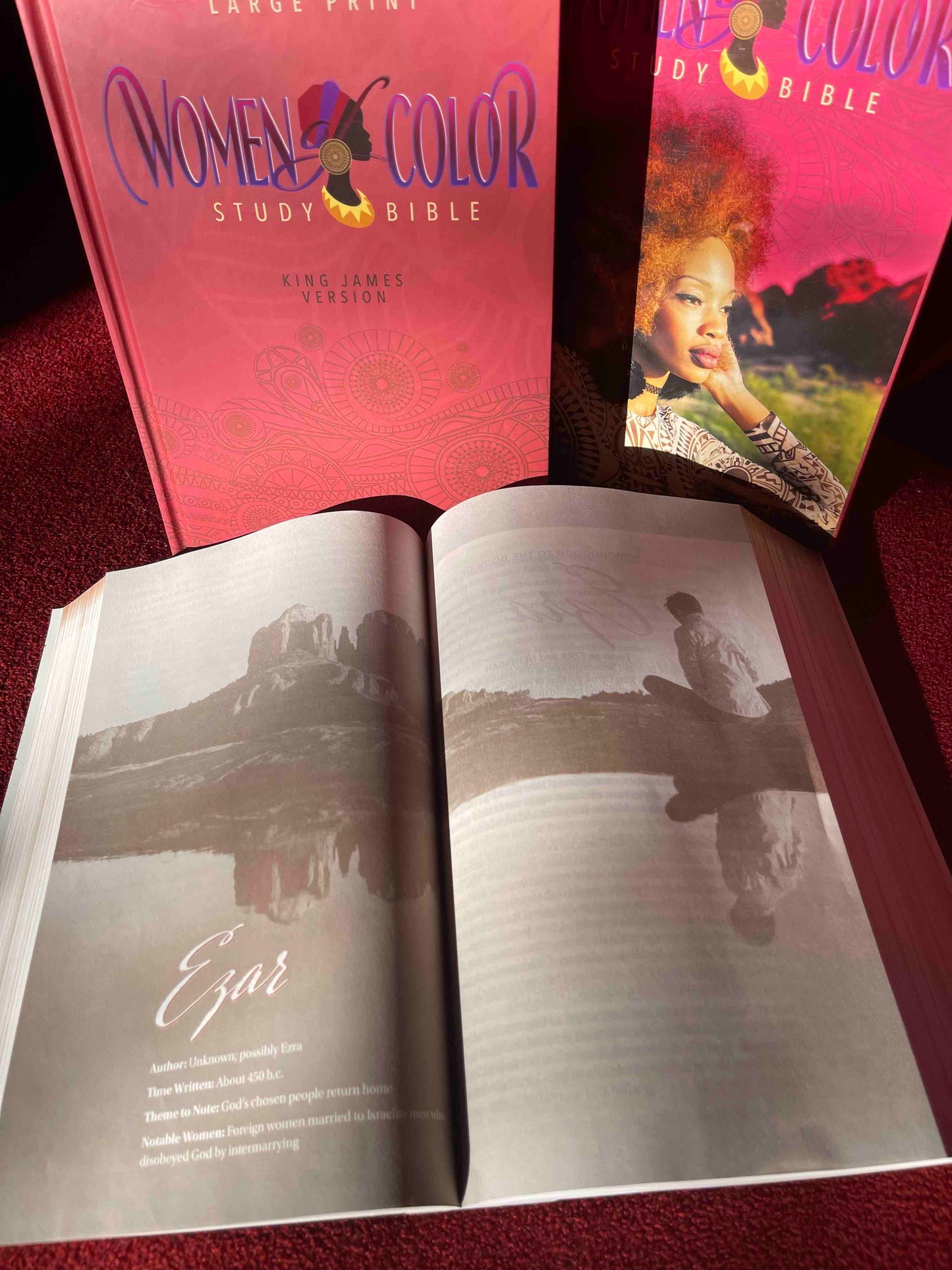 Women of Color Study Bible - Purple Luxleather Softouch Edition