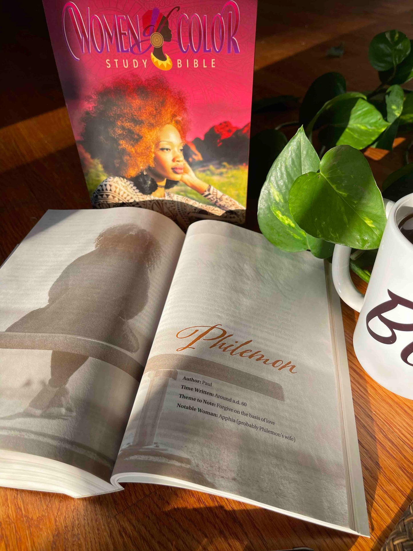 Women of Color Study Bible - Purple Luxleather Softouch Edition