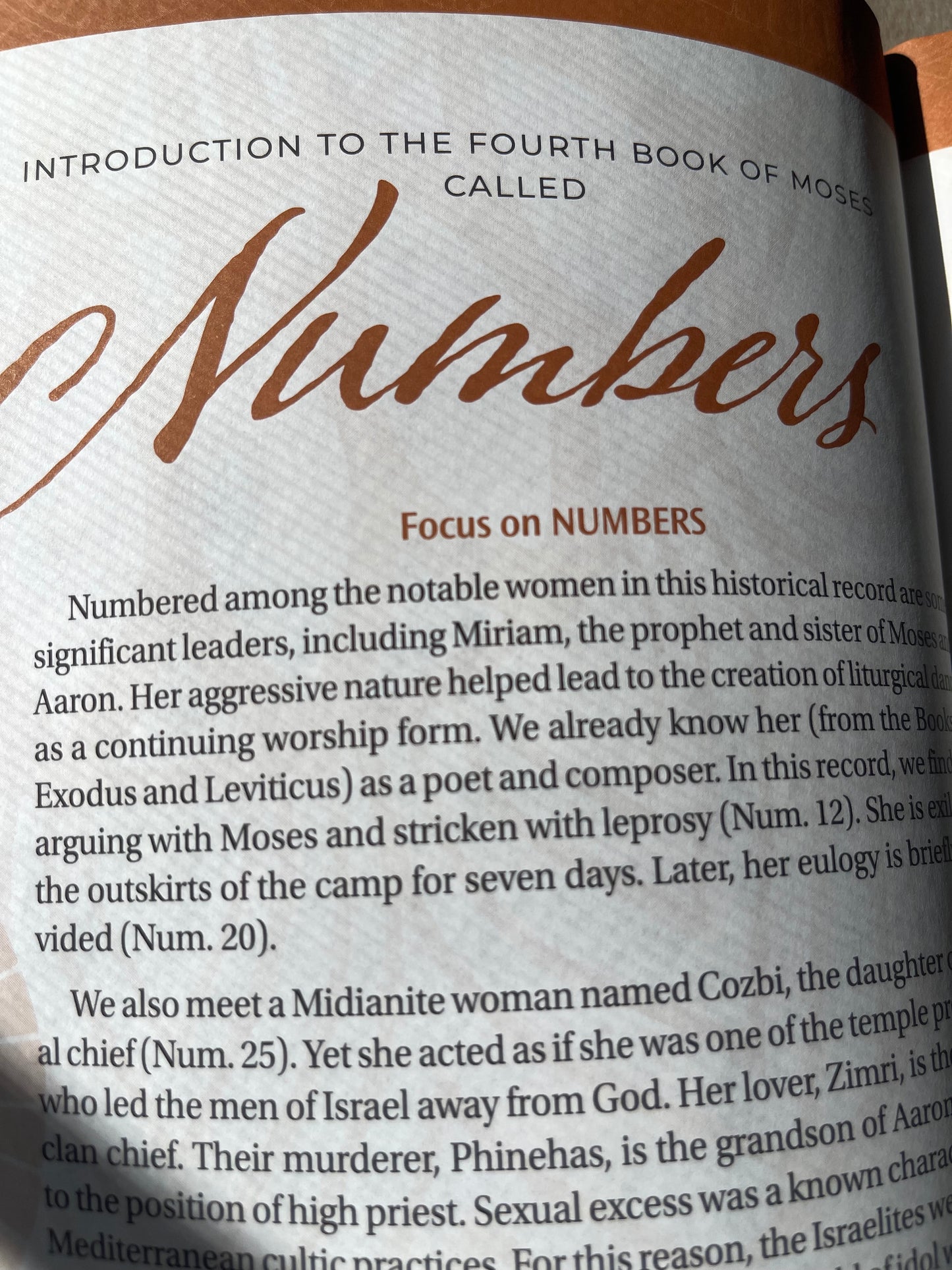 Women of Color Study Bible - Paperback Edition