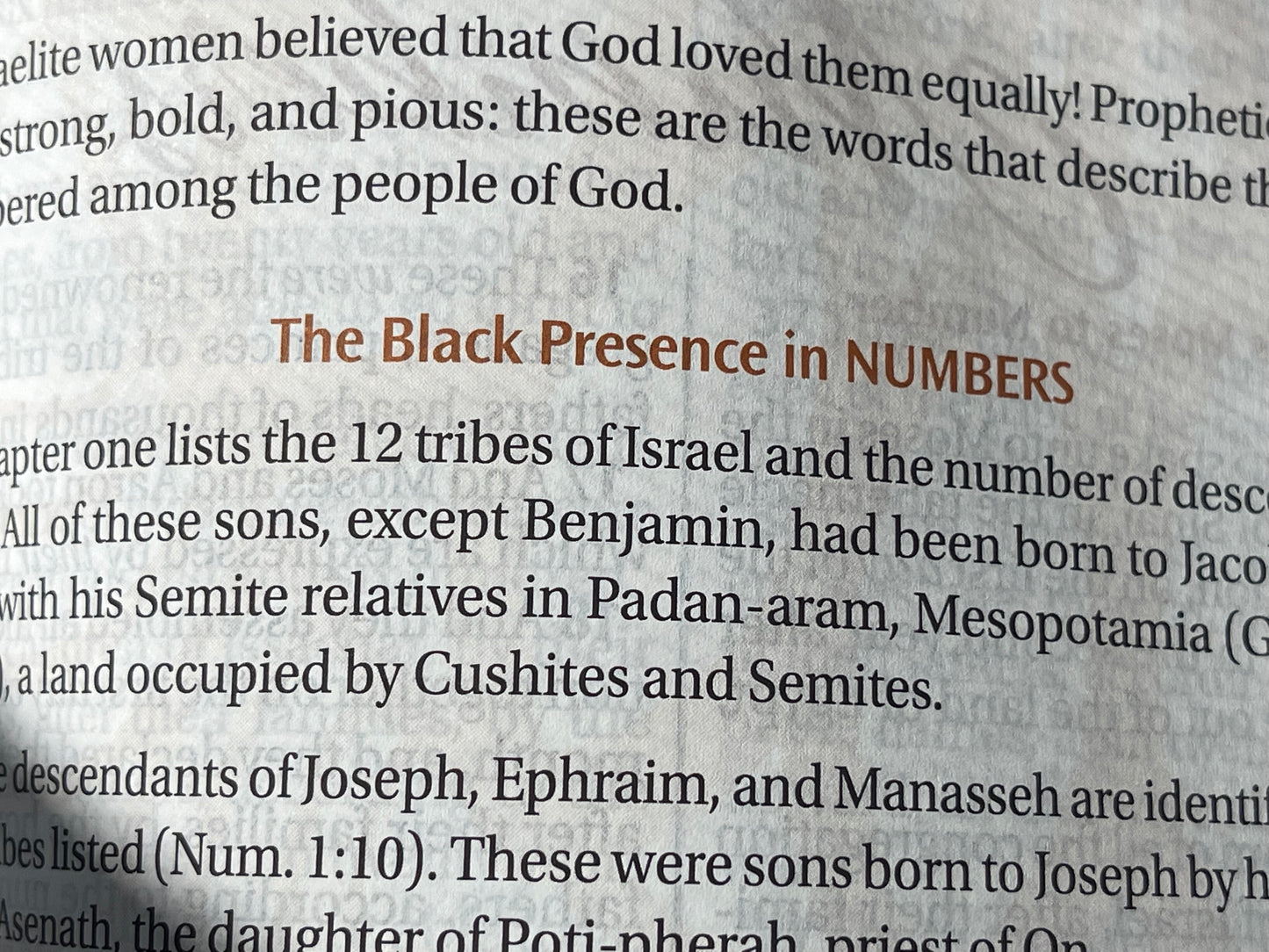 Women of Color Study Bible - Paperback Edition