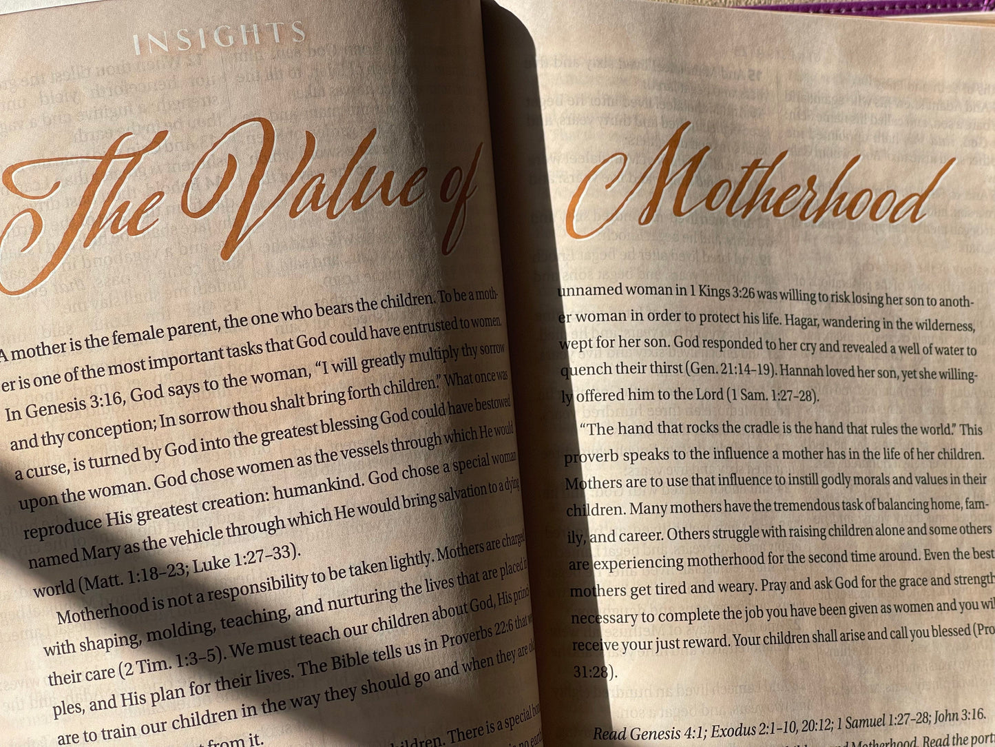 Women of Color Study Bible - Paperback Edition