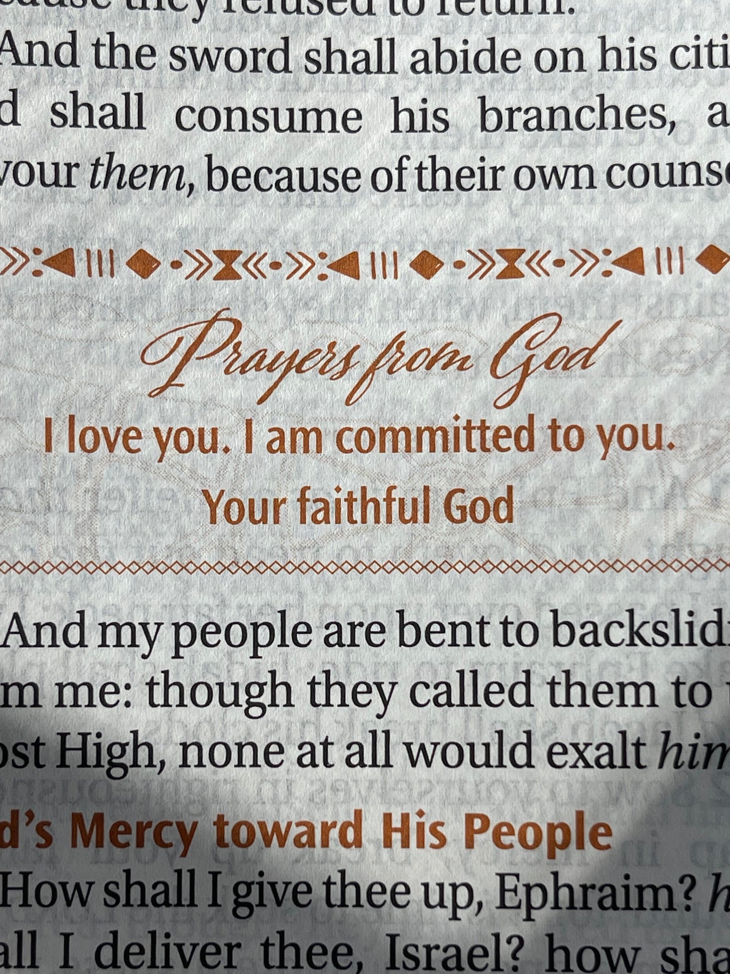 Women of Color Study Bible - Paperback Edition