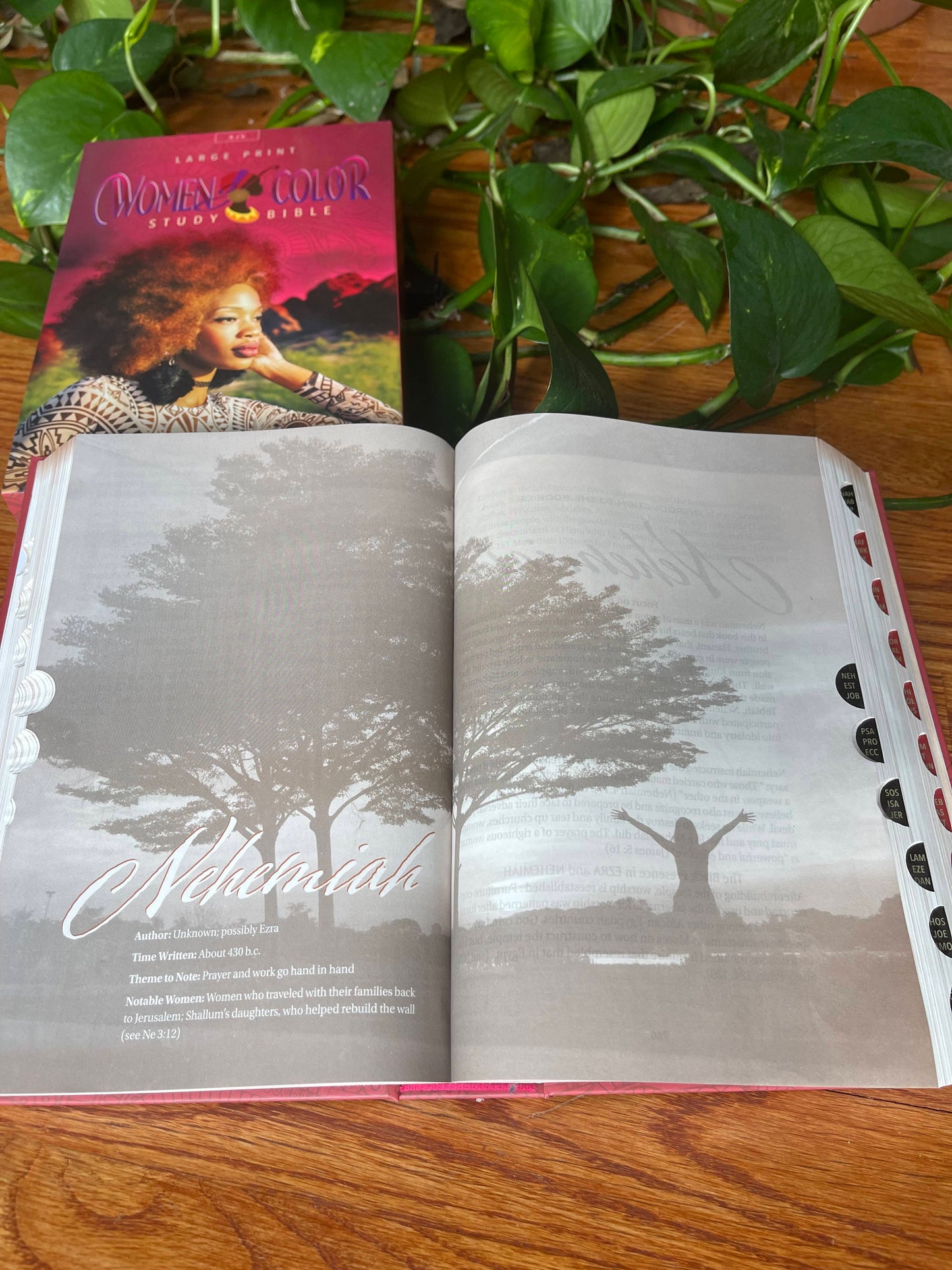 Women of Color Study Bible - Paperback Edition